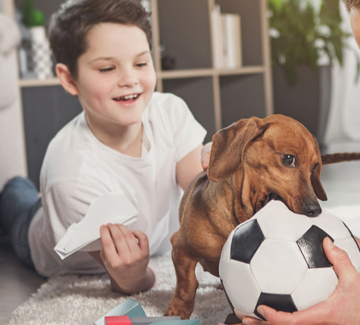 Zwierzę w małym domu. Czy zgodzić się na prośbę dziecka?